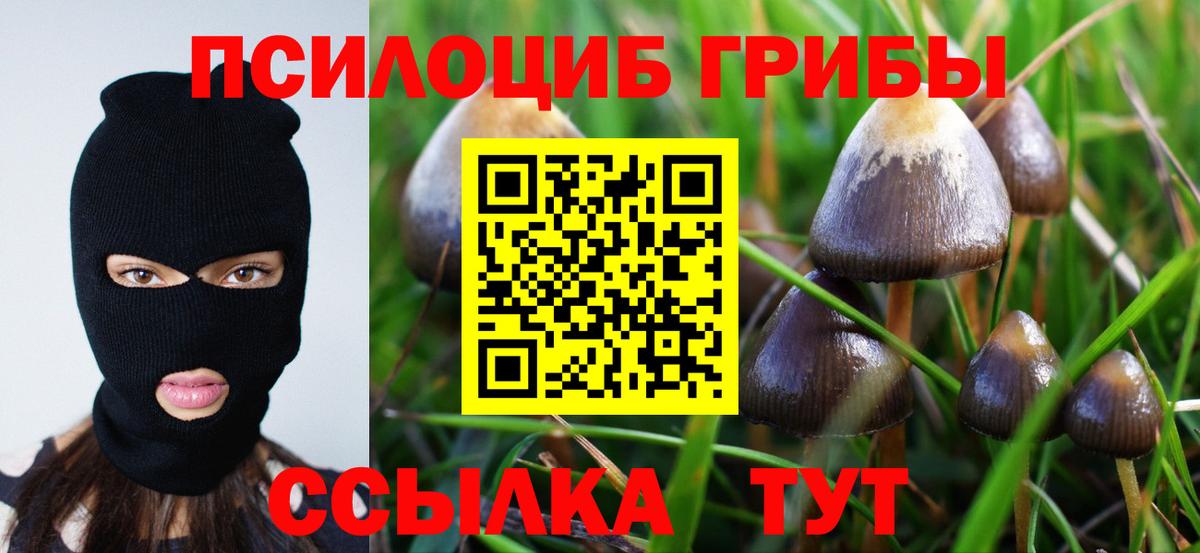 Галлюциногенные грибы GOLDEN TEACHER  Вход с VPN  Псилоцибиновые грибы Magic Shrooms  Чебоксары 