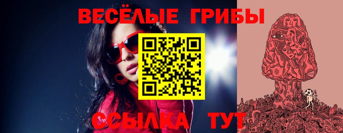 Галлюциногенные грибы Psilocybine cubensis Чебоксары